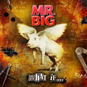 MR.BIG 